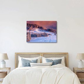 Obraz zimowego krajobrazu (70x50 cm)