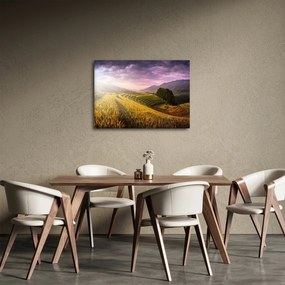 Obraz krajobrazu (70x50 cm)