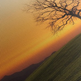 Obraz zachodu słońca na łące (70x50 cm)