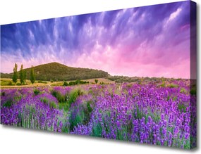 Zdjęcie na płótnie Alpejska Łąka w Kwiatach