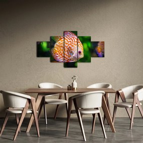 Obraz ryby (125x70 cm)
