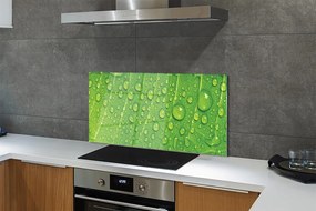 Szklany Panel Makro Detal Liścia z Rosą