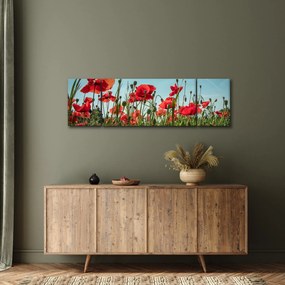 Obraz - Na polu maków (170x50 cm)