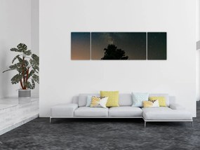 Obraz nocnego nieba z drzewami (170x50 cm)