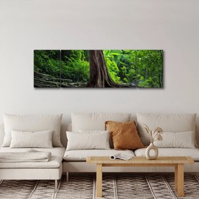 Obraz - Stare drzewo z korzeniami (170x50 cm)
