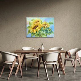 Obraz na szkle kwitnących słoneczników (70x50 cm)