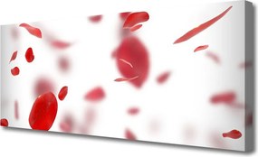 Obraz na płótnie Delikatność Płatków Róży