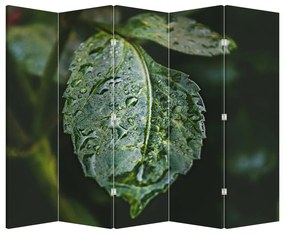 Parawan - Krople na liściu (210x170 cm)