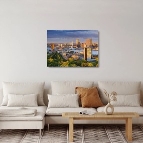Obraz na szkle - Panorama Rotterdamu, Holandia (70x50 cm)