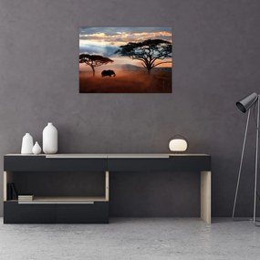 Obraz - Park Narodowy Serengeti, Tanzania, Afryka (70x50 cm)