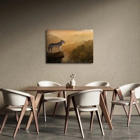 Obraz wilka na skale (70x50 cm)
