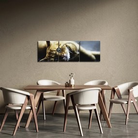 Obraz kota (z zegarem) (90x30 cm)