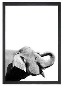 Obraz 24x29 cm Damarion Elephant – Vavien Artwork