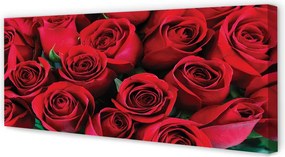 Duży obraz na płótnie Rozkwit Czerwonych Róż