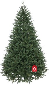 Świerk kanadyjski 100% 150 cm