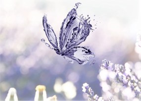 Obraz - Motyl i lawenda (70x50 cm)