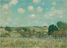 Obraz na szkle - Alfred Sisley,  Meadow, reprodukcje (70x50 cm)