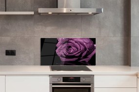 Panel nad Blat Kuchenny Szlachetna Fioletowa Róża