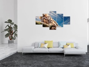 Obraz - Sowa (125x70 cm)