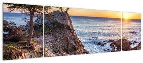 Obraz - Wybrzeże Pacyfiku (170x50 cm)