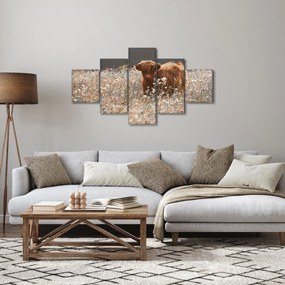 Obraz - Szkocka krowa w kwiatach (125x70 cm)