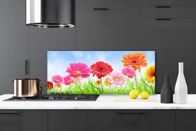 Panel Kuchenny Kwiaty Wśród Polnej Trawy