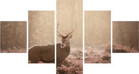Obraz - Jeleń w lesie (125x70 cm)
