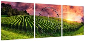 Obraz winnicy z kolorowym niebem (z zegarem) (90x30 cm)