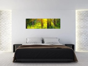 Obraz - Wiosenne przebudzenie lasu (170x50 cm)