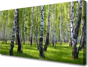 Obraz na płótnie Tajemniczy Bór Sosnowy