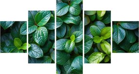 Obraz - Rośliny zielone (125x70 cm)