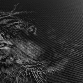 Obraz dzikiego tygrysa (170x50 cm)