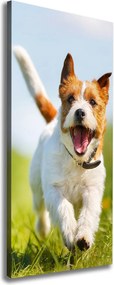 Foto obraz na płótnie pionowy Pies Jack Russell