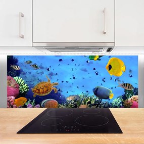 Szkło do Kuchni na Ścianę Podwodny Świat Rafy Koralowej