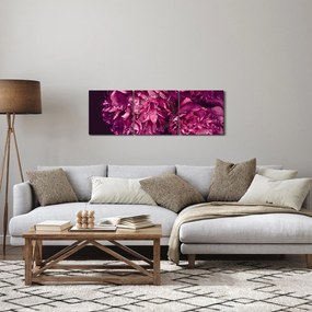 Obraz - Kwiaty piwonii (z zegarem) (90x30 cm)
