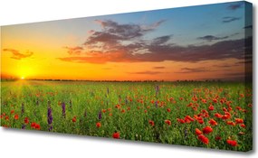 Obraz canvas Słoneczna Polana Kwiatowa