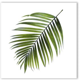 Obraz Styler Canvas Greenery Black Palm, 32x32 cm