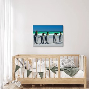 Obraz - Grupa Pingwinów królewskich (70x50 cm)