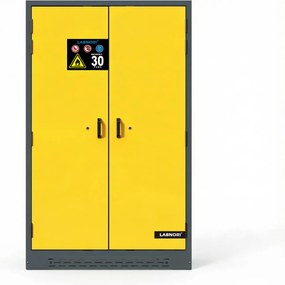 Szafa przeciwpożarowa na substancje niebezpieczne, typ 30, 1200 × 615 × 1950 mm, dwudrzwiowa