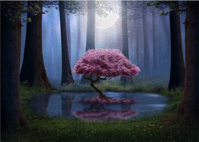 Obraz na szkle - Magiczna noc (70x50 cm)
