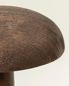 Grzybek Darkcap 12x18 cm