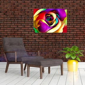Obraz - Kolorowa róża (70x50 cm)