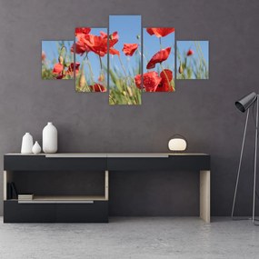 Obraz - Maki (125x70 cm)