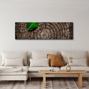 Obraz liścia na pniu drzewa (170x50 cm)