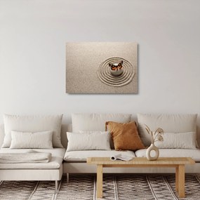 Obraz na szkle - Ogród zen (70x50 cm)