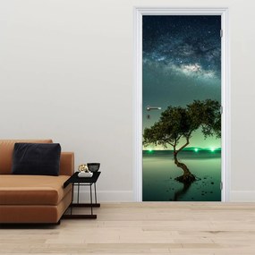Fototapeta na drzwi - Nocne niebo (95x205cm)