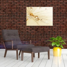 Obraz - Zdjęcie makro mniszka lekarskiego (70x50 cm)