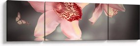 Obraz - Kwiaty i motyl (170x50 cm)