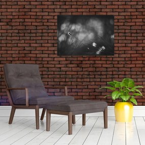 Obraz na szkle - Trawa łąkowa (70x50 cm)