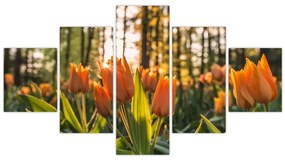 Obraz - kwiaty tulipanów (125x70 cm)